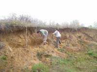mme k�ka gyurgyalagtelep rendbet�tele